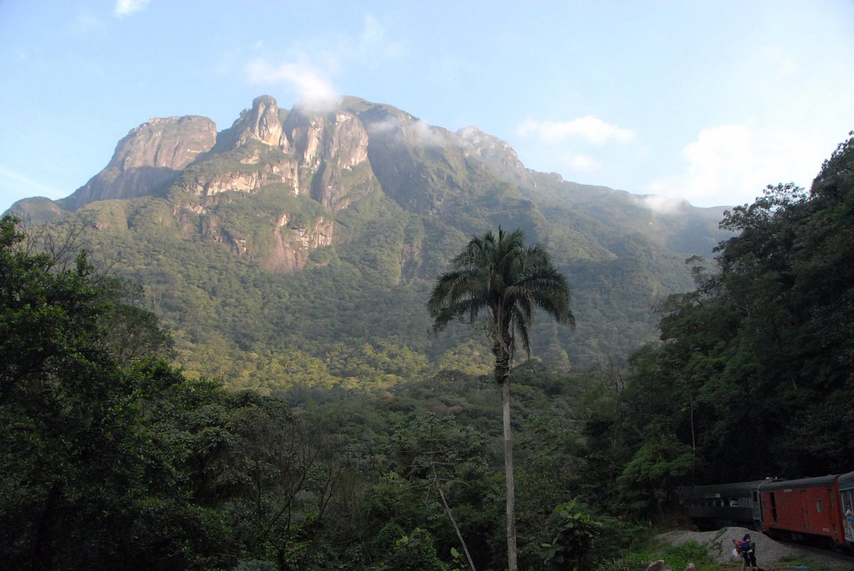 Descobrindo a Beleza Natural do Parque Estadual do Pico do Marumbi